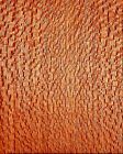 10 BOARD FEET BEAUTIFUL KILN DRIED 4/4 LACEWOOD LUMBER WOOD FAS GRADE